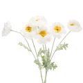 Floristik24 Artificial poppy, white, long stem, 78cm, 3 pieces