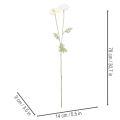 Artificial poppy, white, long stem, 78cm, 3 pieces | Floristik24.ie