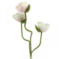 Floristik24 Artificial poppy, silk flower white-pink L55/60/70cm set of 3