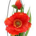 Floristik24 Poppy orange in a glass for hanging H22cm