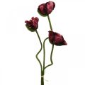 Floristik24 Artificial poppy artificial plant red L55/60/70cm set of 3