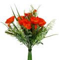 Floristik24 Orange poppy bouquet 40cm