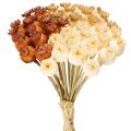 Floristik24 Dried artificial poppy seed pods, bunch of three colors, 40cm, 45 pieces