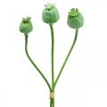 Poppy seed capsules decoration artificial poppy seeds on a stick green 58cm 3pcs in a bunch
