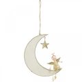 Floristik24 Advent decoration, angel on moon, wooden decoration for hanging white, golden H14.5cm W21.5cm 3pcs