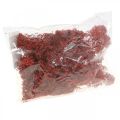 Floristik24 Decorative moss for handicrafts Red colored natural moss in a 40g bag