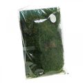 Floristik24 Decorative moss for handicrafts green, dark green 100g