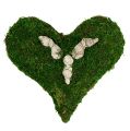 Floristik24 Moss heart with rose relief 30cm