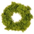 Floristik24 Artificial moss wreath, decorative for table or door, 28cm