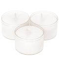 Floristik24 Nightlights Tealights White in Plastic Tray 8 Hours 50 Pieces
