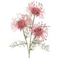 Floristik24 Artificial flower pincushion protea flowering branch 65cm 3pcs