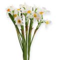 Floristik24 Daffodil bouquet in white 35cm 3pcs
