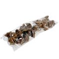 Natural Blossom, Palm Cup on a Stem Natural 25 pcs | Floristik24.ie