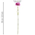 Artificial carnation, two-tone, long stem 56cm, bunch of 8 | Floristik24.ie