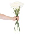 Artificial carnation flower with stem for bouquets and wreaths, 56cm, 8 pieces | Floristik24.ie