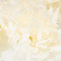 Artificial carnation flower