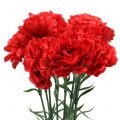 Floristik24 Carnations artificial red 67cm 9pcs
