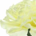 Floristik24 Carnation flower white Ø9cm 12pcs