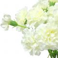 Floristik24 Carnation white 64cm 4pcs