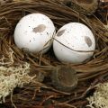 Floristik24 Easter nest with eggs artificial nature, white Easter table decoration Ø19cm