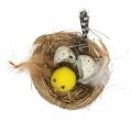 Floristik24 Easter decoration chicks in the nest with feathers Table decoration Easter nest Ø9cm