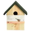 Floristik24 Nesting box blue tit bird house wood natural green H20.5cm