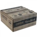 OASIS® TerraBrick™ plug-in compound compostable 8pcs