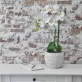 Floristik24 Planter Concrete White Vintage Flower Pot White Honeycomb H17.5cm Ø18.5cm