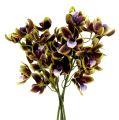 Floristik24 Orchid Cymbidium Green, Purple L38cm 4pcs