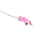 Floristik24 Orchid Phalaenopsis artificial 8 flowers pink 104cm
