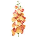 Floristik24 Orchid Phalaenopsis artificial 9 flowers red yellow 96cm