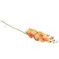 Floristik24 Orchid Phalaenopsis artificial 9 flowers red yellow 96cm