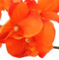 Floristik24 Orchid branch orange 61cm