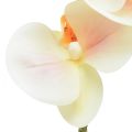 Floristik24 Artificial Orchid Cream Orange Phalaenopsis 78cm