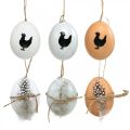 Floristik24 Easter decoration, chicken eggs for hanging, decorative eggs feather and chicken, brown, blue, white set of 6