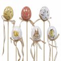 Floristik24 Easter eggs plastic flower plug Easter decoration H6cm 6pcs
