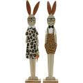 Floristik24 Easter bunny leopard skin and glasses wood Has Easter decoration set of 2