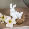 Floristik24 Easter bunny vintage look rabbit lying white ceramic 12.5×8×14cm