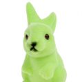 Floristik24 Easter bunny flocked 9,5cm green mix 9pcs