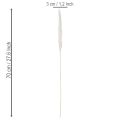 Pampas grass dried flowers bleached 70cm 15pcs | Floristik24.ie