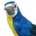 Floristik24 Decorative parrot blue 44cm