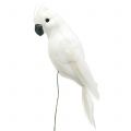 Floristik24 Parrots with feathers white Artificial cockatoo decorative bird 4pcs