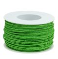 Floristik24 Paper cord wrapped in wire Ø2mm 100m apple green