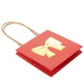 Gift bag paper with ribbon