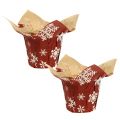 Floristik24 Paper pots with snowflakes red, white Ø7cm 12pcs