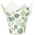 Paper flower pot with clover