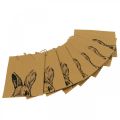 Floristik24 Gift bag Easter paper bag bunny brown 12×6×15cm 8 pieces
