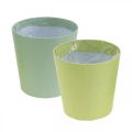 Floristik24 Paper pot, cachepot, planter blue/green Ø11cm H10cm 4pcs
