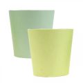Floristik24 Paper pot, cachepot, planter blue/green Ø11cm H10cm 4pcs