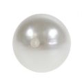 Floristik24 Pearls white Ø20mm 200g 50pcs